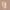 SPF 50 Natural Concealer Light 9g-Avocado Zinc-Matakana Pharmacy