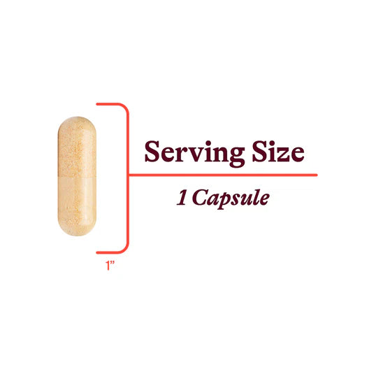 B Complex Plus 100caps-Seeking Health-Matakana Pharmacy