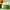 From Green Avocado Cleansing Balm 100mL-Purito Seoul-Matakana Pharmacy