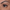 Eyeliner Pencil Black-Blinc-Matakana Pharmacy