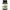 Image of Black Ginger Extract - Standardized 100mg 30vcaps