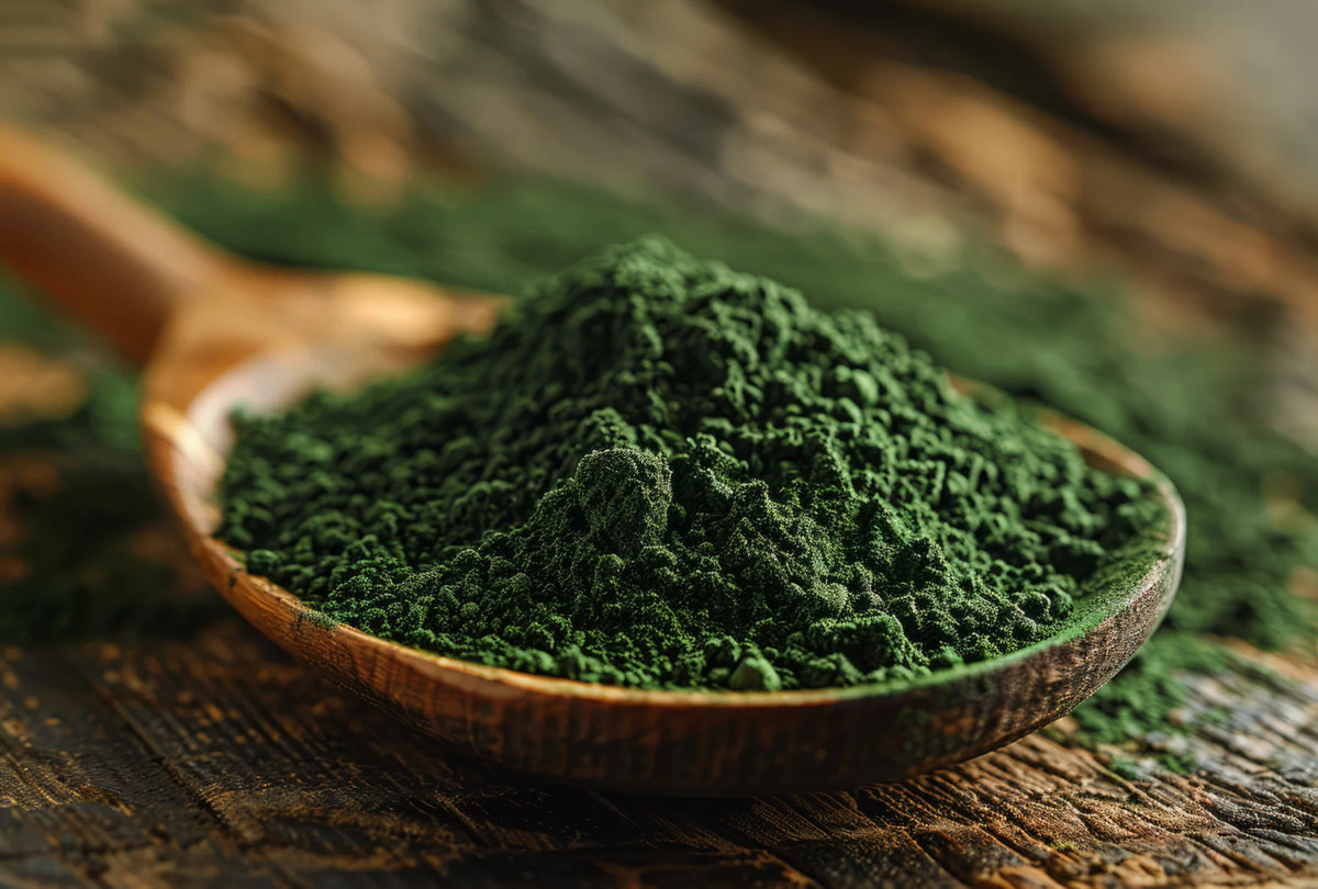 Chorella Powder Organic 25kg-Matakana Superfoods-Matakana Pharmacy