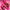 Cleanery Rose & Pink Pepper Hand Wash 12.5g - Individual Sachet-Cleanery-Matakana Pharmacy