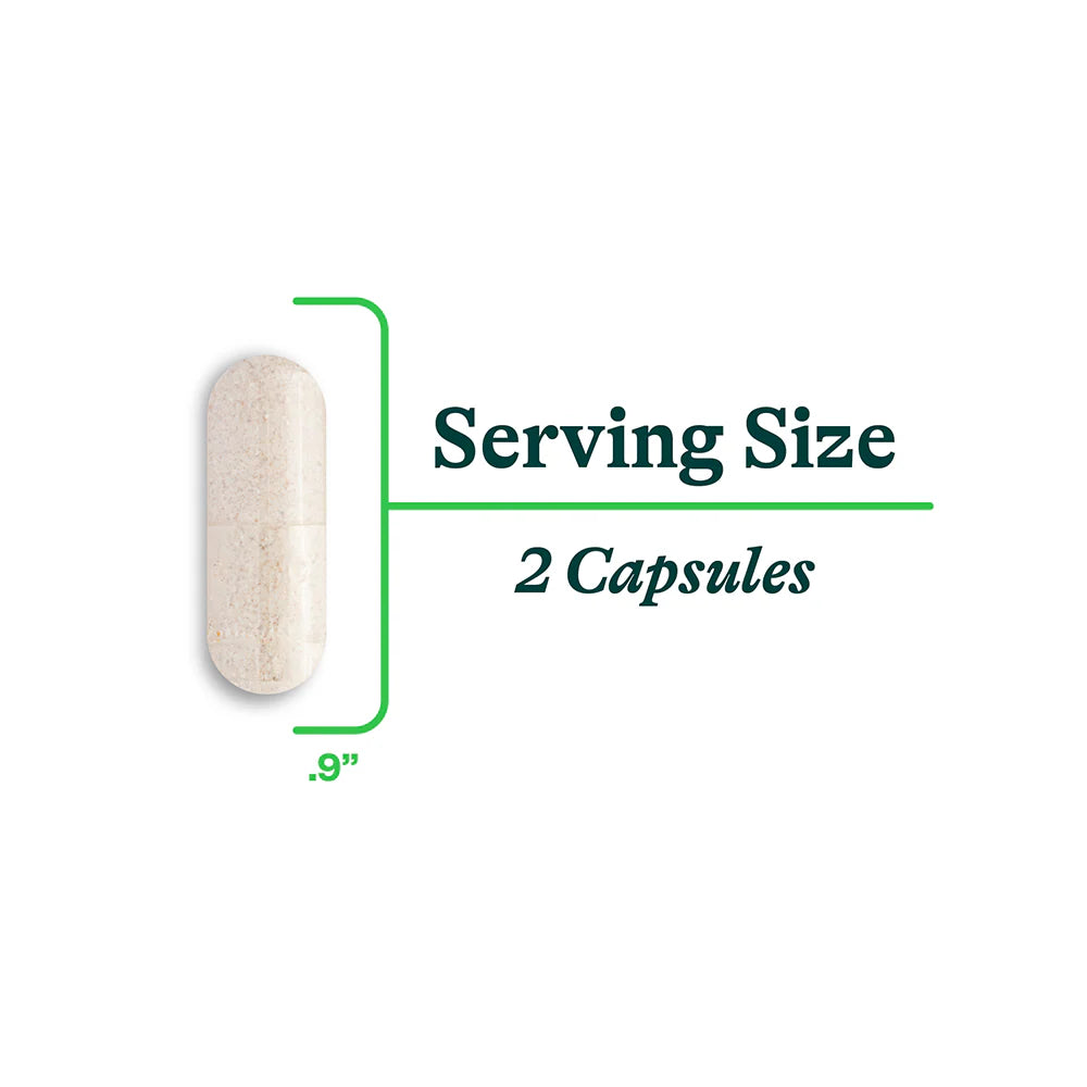 Digestive Enzymes 60 Capsules-Seeking Health-Matakana Pharmacy