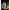 Fire Cider 200ml-Wild Dispensary-Matakana Pharmacy