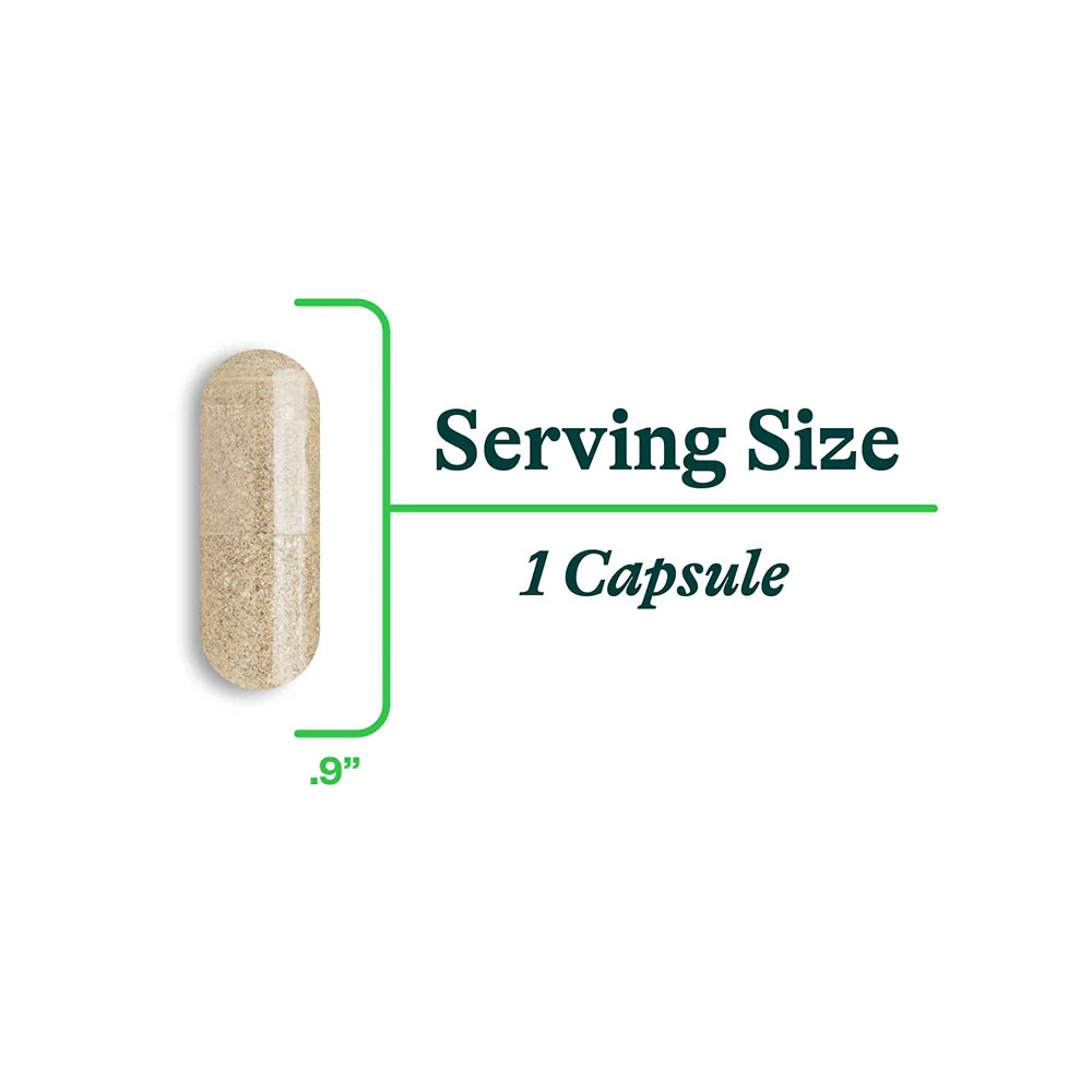 Bile Nutrients 120 Capsules-Seeking Health-Matakana Pharmacy