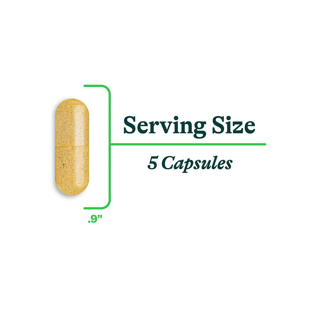 Gut Nutrients 150caps-Seeking Health-Matakana Pharmacy