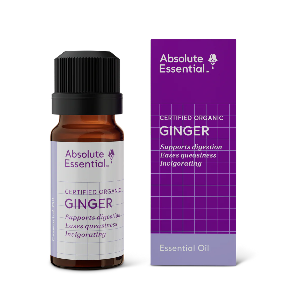 Ginger Organic 10ml-Absolute Essential-Matakana Pharmacy