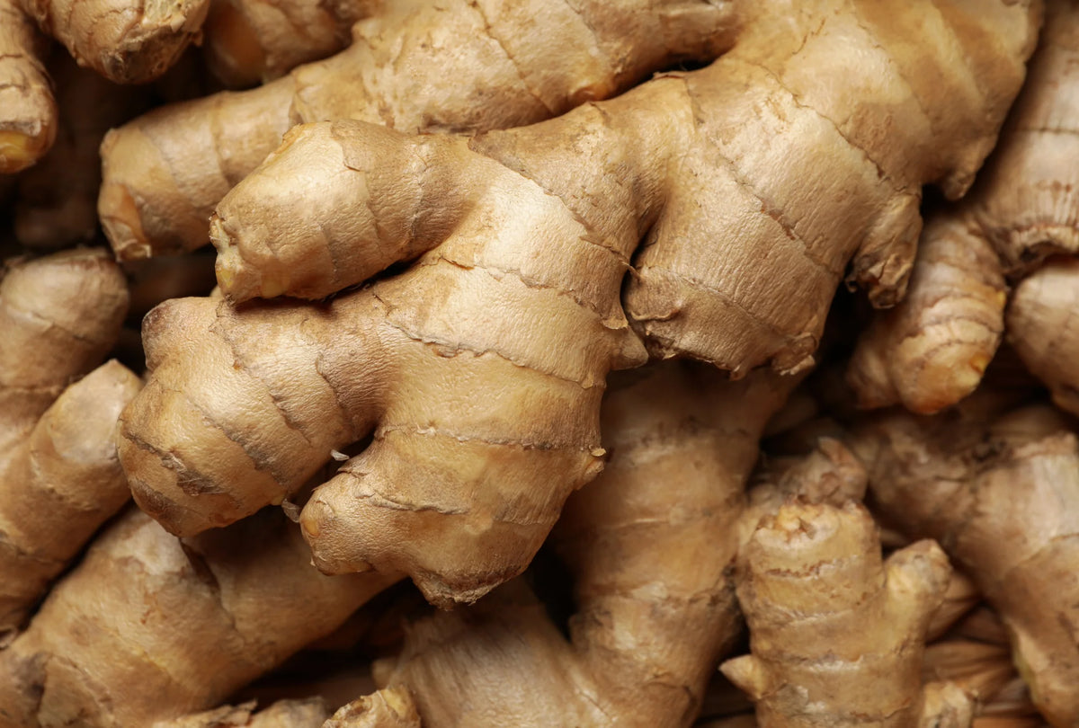 Ginger Powder Organic 10kg-Matakana Superfoods-Matakana Pharmacy