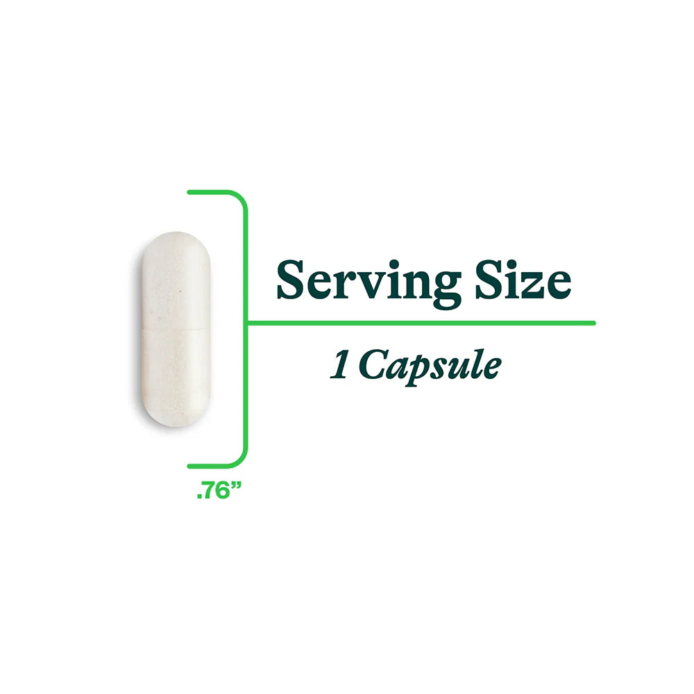 Histamine Digest / DAO Enzyme 30caps-Seeking Health-Matakana Pharmacy