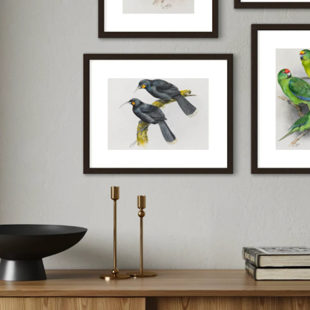 George Lodge- Print - Huia A4-Te Papa Store-Matakana Pharmacy