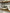 The Bare Base 120 Capsules-Bare Health-Matakana Pharmacy