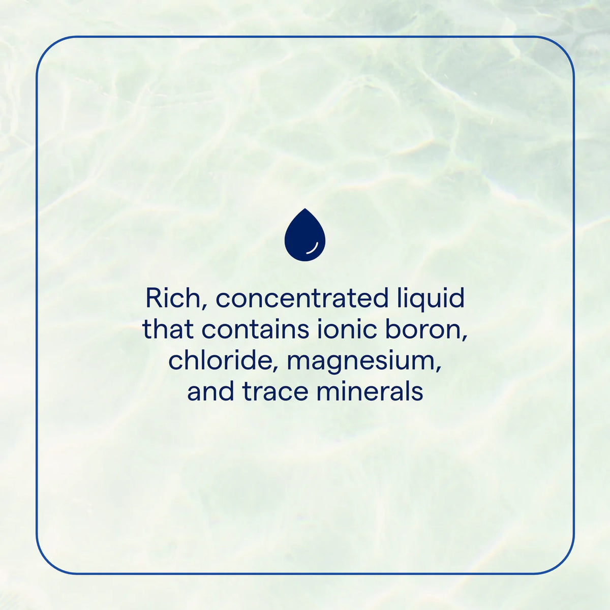 Ionic Boron 59ml-Trace Minerals-Matakana Pharmacy