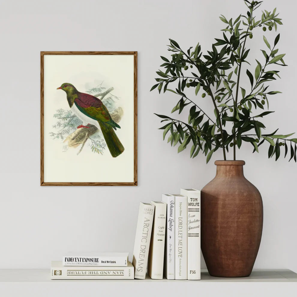 Johannes Keulemans - Print - New Zealand Pigeon - Kereru-Te Papa Store-Matakana Pharmacy