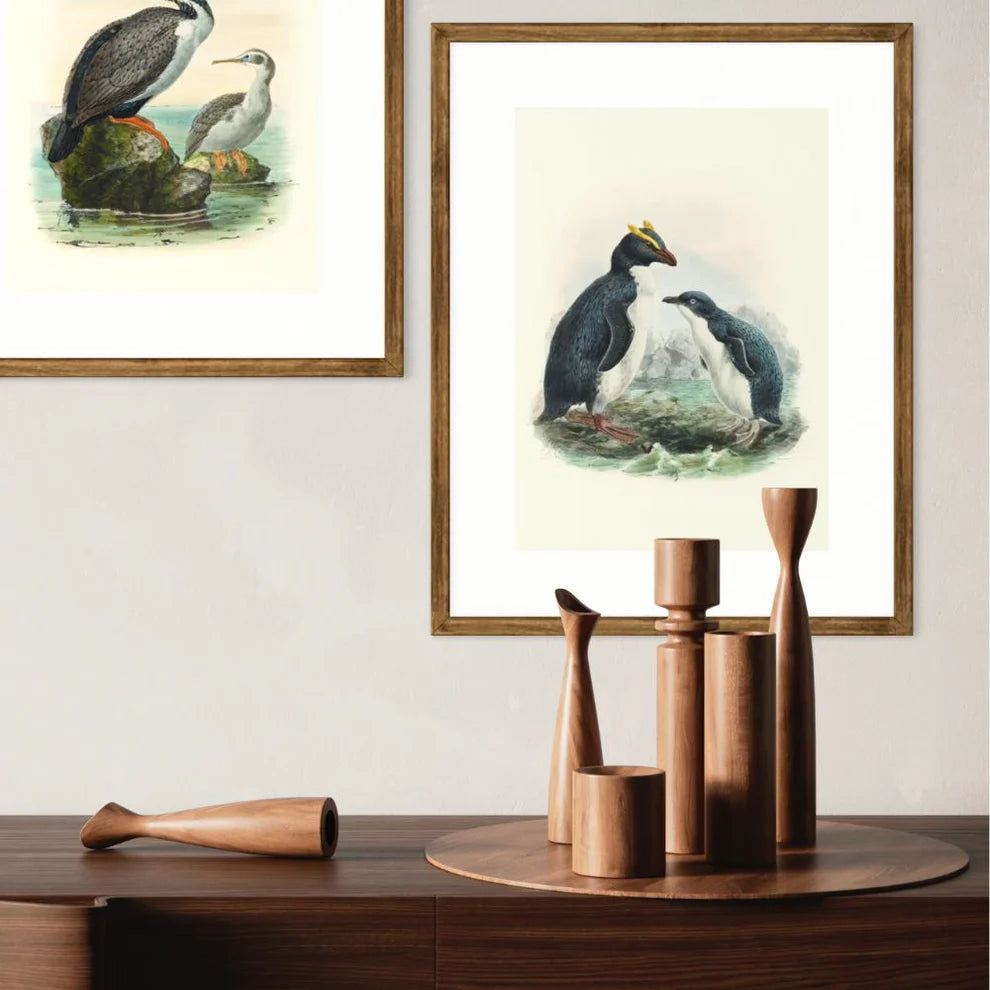 Johannes Keulemans - Print - Fiordland Crested Penguin - Tawaki and Little Penguin - Korora A4-Te Papa Store-Matakana Pharmacy