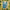 Maori Activity Book He Puka Ngohe-Illustrated Publishing-Matakana Pharmacy