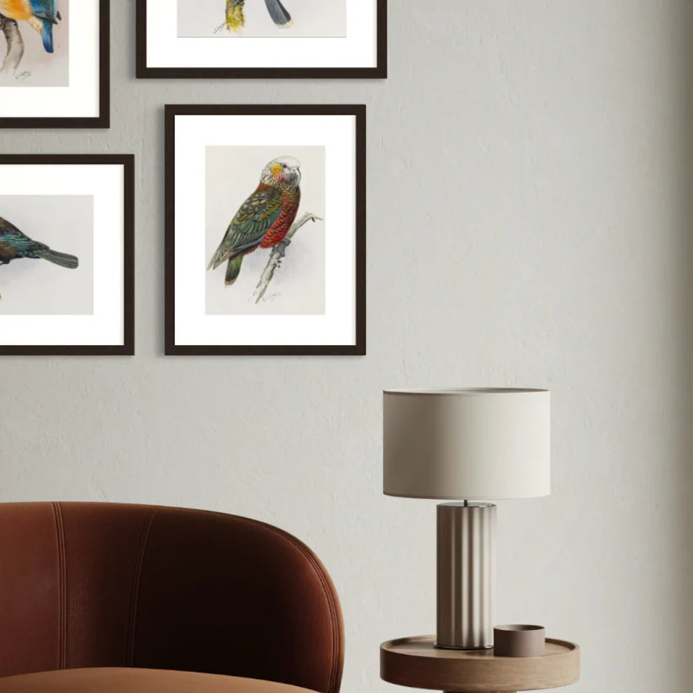 George Lodge- Print - Kaka A4-Te Papa Store-Matakana Pharmacy