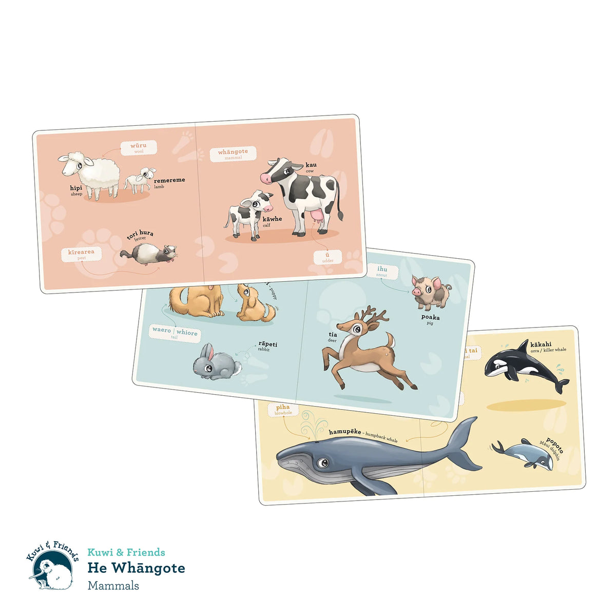 He Whangote Mammals-Illustrated Publishing-Matakana Pharmacy