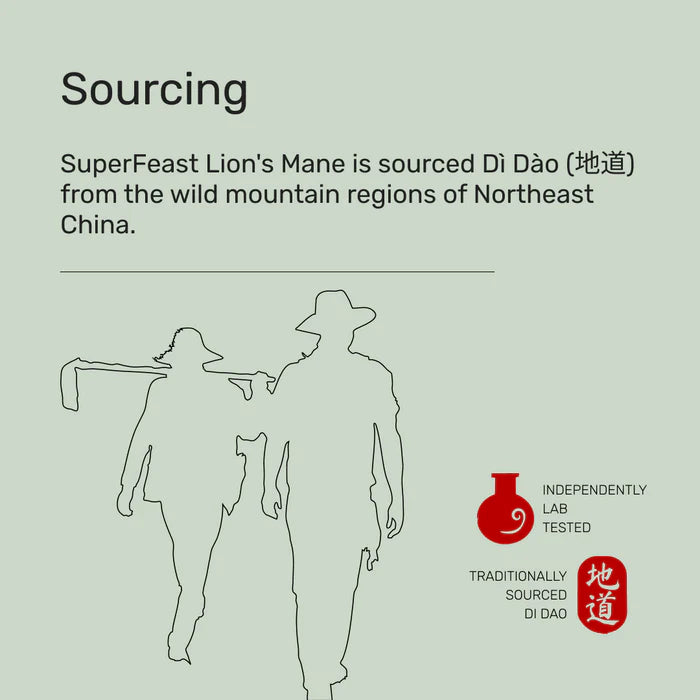 Lion's Mane Powder 1kg | Superfeast-SuperFeast-Matakana Pharmacy