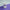 Top down image of the bottle of Metabolic Management 60caps against a white and purple background