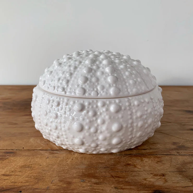 Kina Bowl Ceramic White Small-Moana Road NZ-Matakana Pharmacy