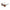 Image of Moana Sunnies Debbie Reynolds Black w/black Arms