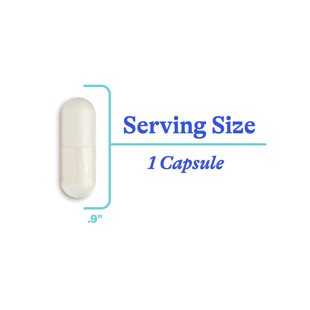 NAC Supplement (N-Acetyl-L-Cysteine) 90 Caps-Seeking Health-Matakana Pharmacy