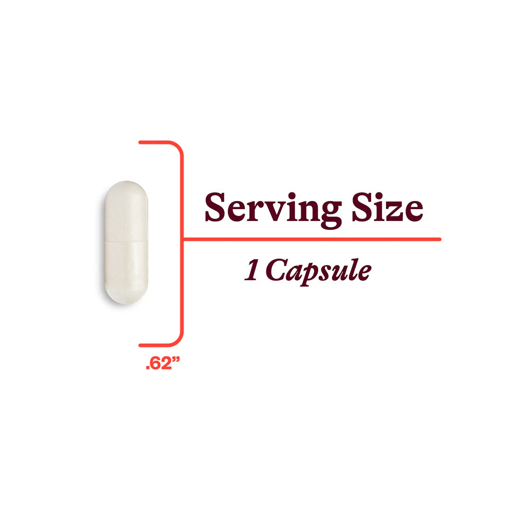 Niacin 100 Capsules-Seeking Health-Matakana Pharmacy
