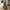 Beach Sarong - Island Treasure-One Hour North-Matakana Pharmacy