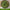 Organic Moringa Leaf Powder 240g-Grenera-Matakana Pharmacy