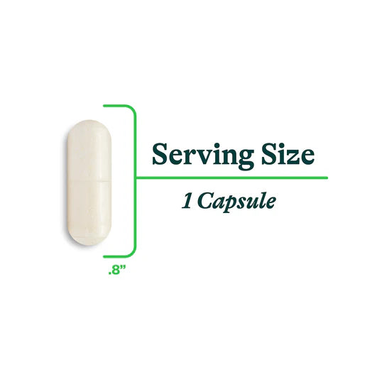 Probiota Bifidobacterium 60caps-Seeking Health-Matakana Pharmacy