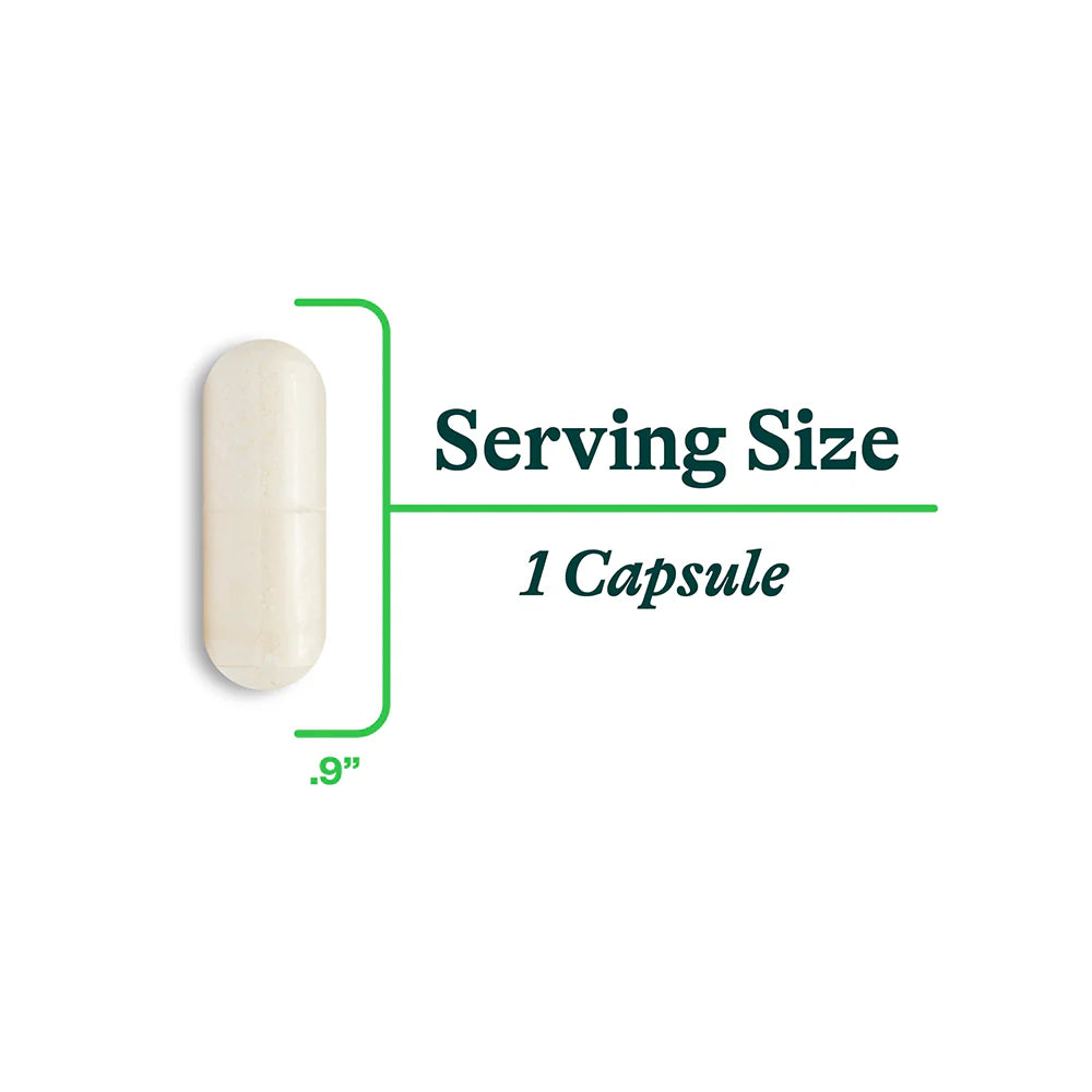 Probiota HistaminX 60caps-Seeking Health-Matakana Pharmacy