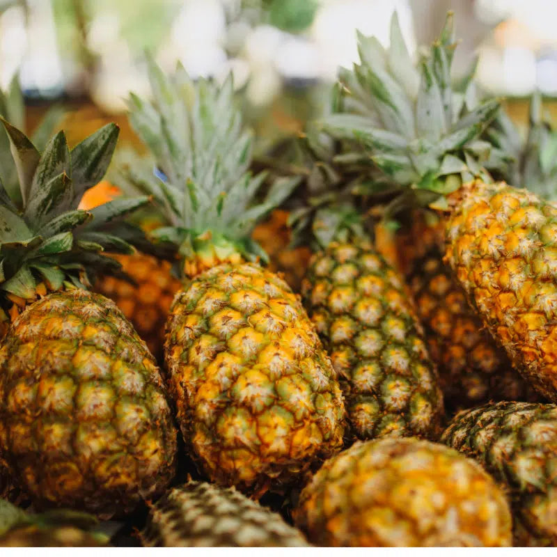 Pineapple & Coconut Bath & Body Oil | Luxury Oil-WOO | World Of Oils-Matakana Pharmacy