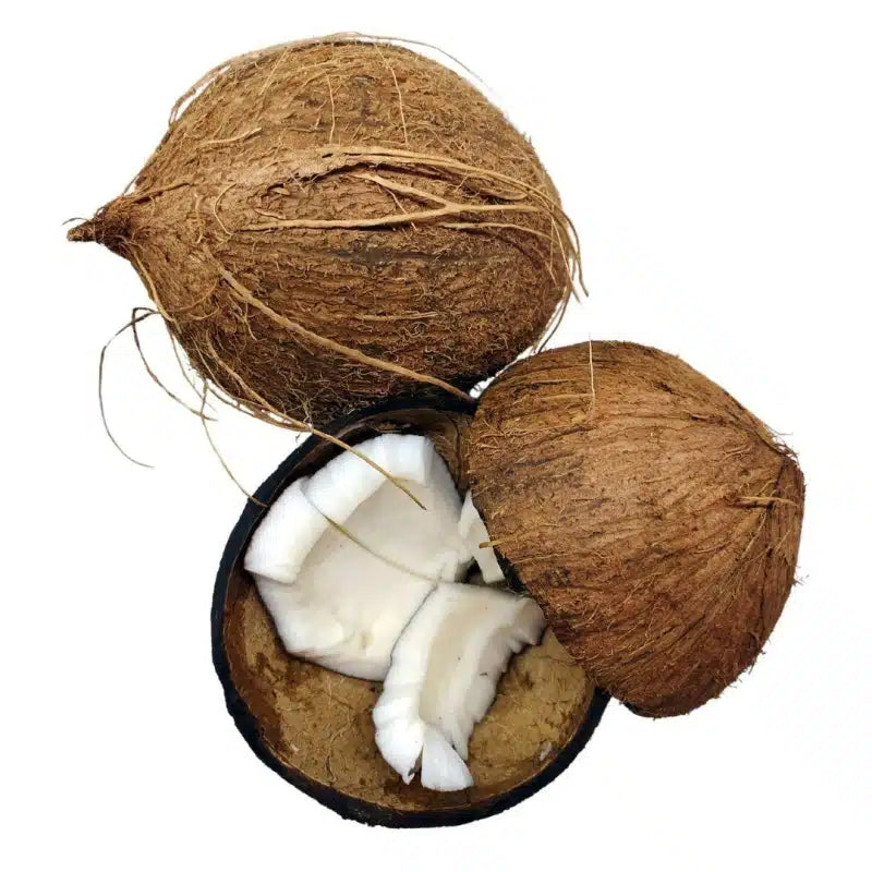 Pineapple & Coconut Bath & Body Oil | Luxury Oil-WOO | World Of Oils-Matakana Pharmacy