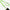 Lanyard Lux Cord Crossbody Neon Green-Queen Of The Foxes-Matakana Pharmacy