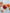 Harakeke & Blood Orange Body Lotion 300ml-Real World-Matakana Pharmacy