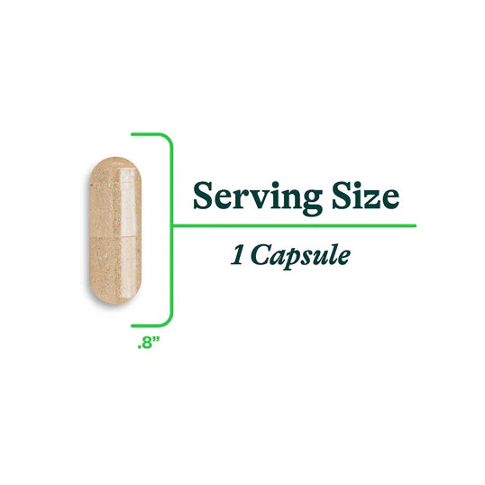 Saccharomyces Boulardii 60caps-Seeking Health-Matakana Pharmacy