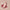SPF 50 Natural Lip & Cheek Tint Berry 9g-Avocado Zinc-Matakana Pharmacy