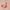 SPF 50 Natural Lip & Cheek Tint Rose 9g-Avocado Zinc-Matakana Pharmacy