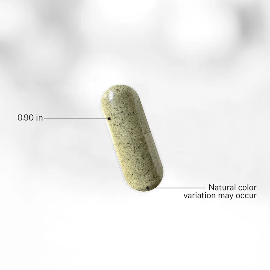 Sea Moss Wildcrafted 120 Capsules-CODEAGE-Matakana Pharmacy