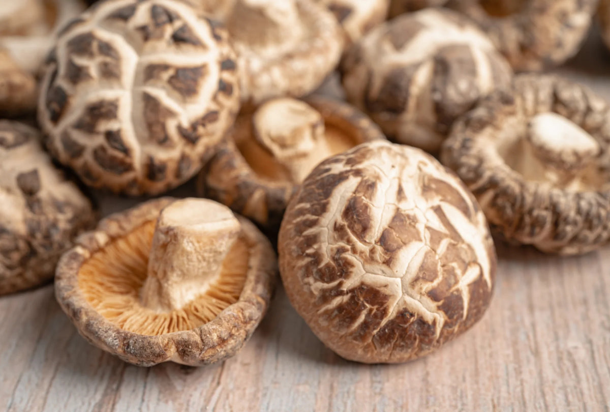 Shiitake Mushroom Chips Sour Cream 32g-Matakana Superfoods-Matakana Pharmacy