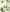 Monty & Sons | Mixed Pasta 4 Pack-Matakana Pharmacy-Matakana Pharmacy