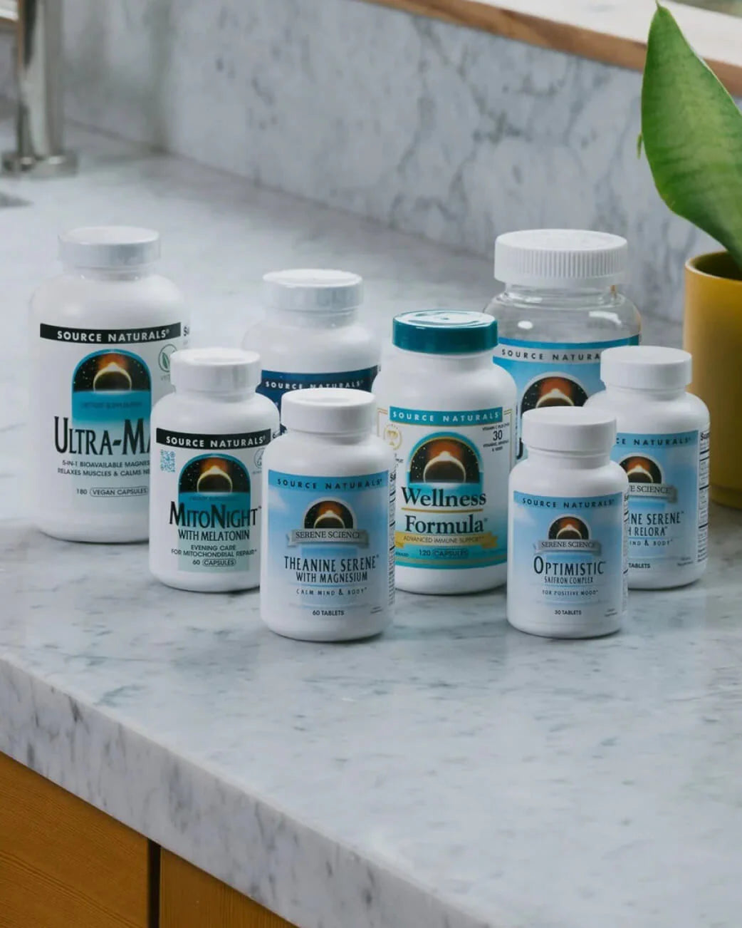 Black Seed Oil 60 Capsules | Source Naturals-Source Naturals-Matakana Pharmacy
