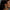 Earrings - Star Flower-Queen Of The Foxes-Matakana Pharmacy