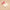 Christmas Cuddle Organic Cotton Toy-The Kiss Co-Matakana Pharmacy