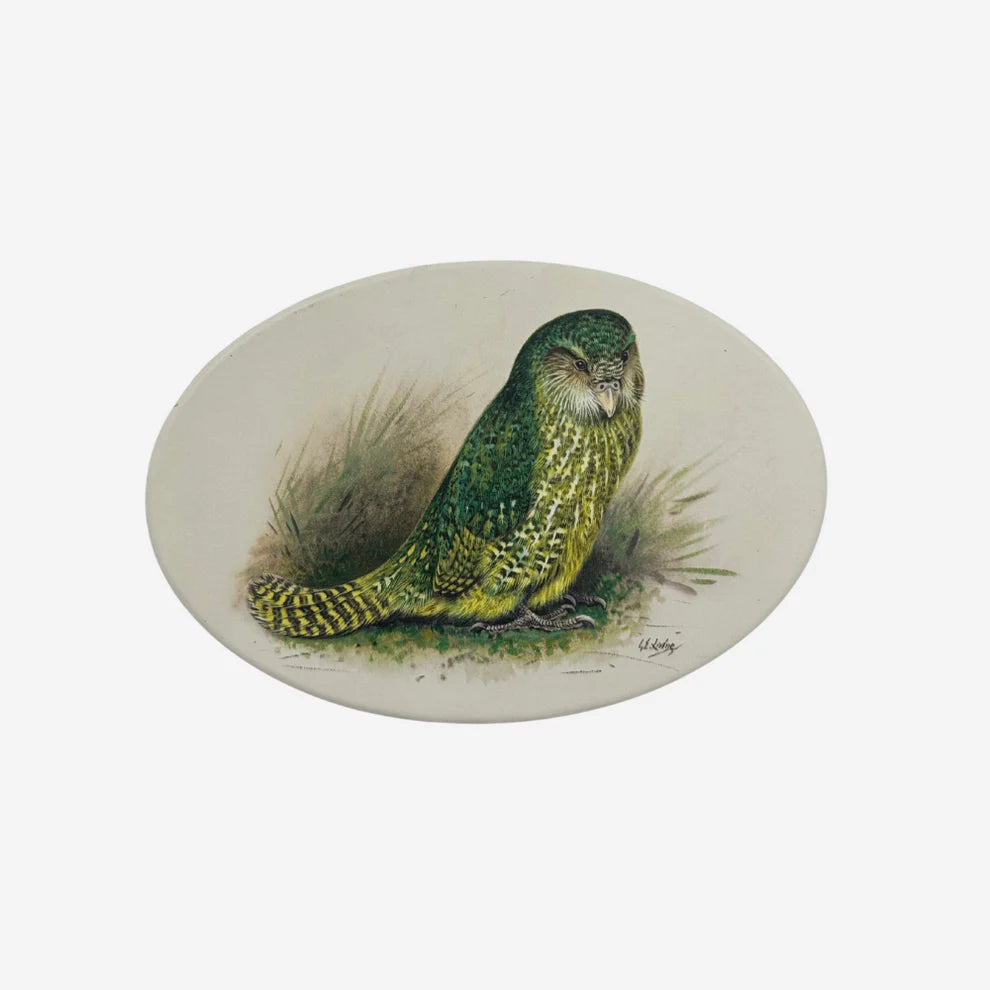 George Lodge - Art Tile - Kakapo-Te Papa Store-Matakana Pharmacy