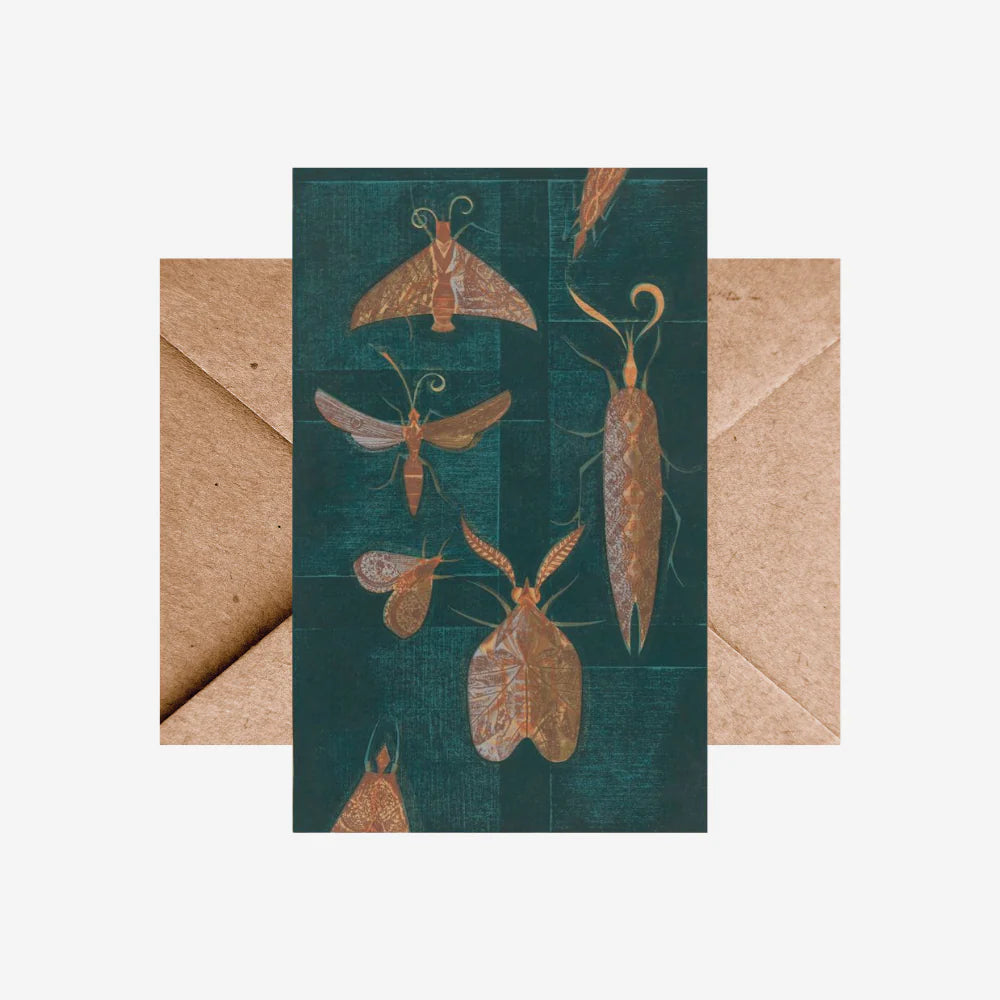 Eileen Mayo - Card - Moths on the window-Te Papa Store-Matakana Pharmacy