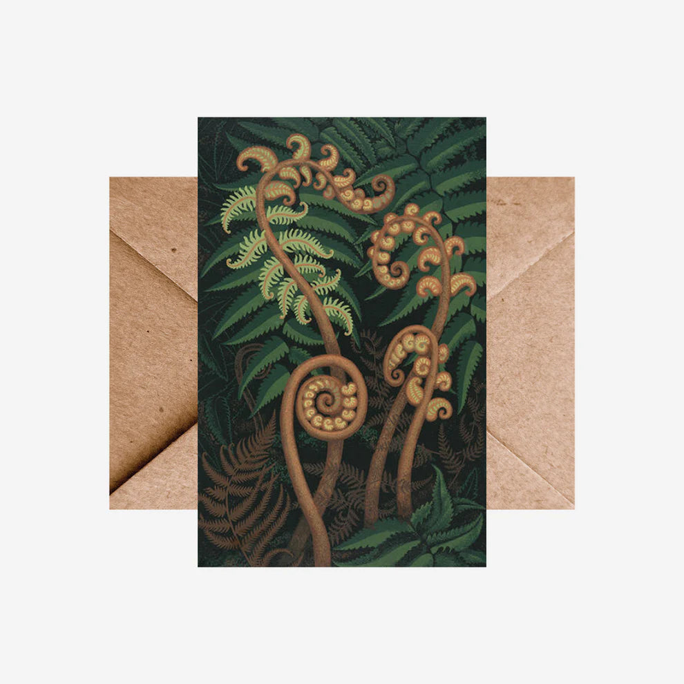 Eileen Mayo- Card- Springing Fern-Te Papa Store-Matakana Pharmacy