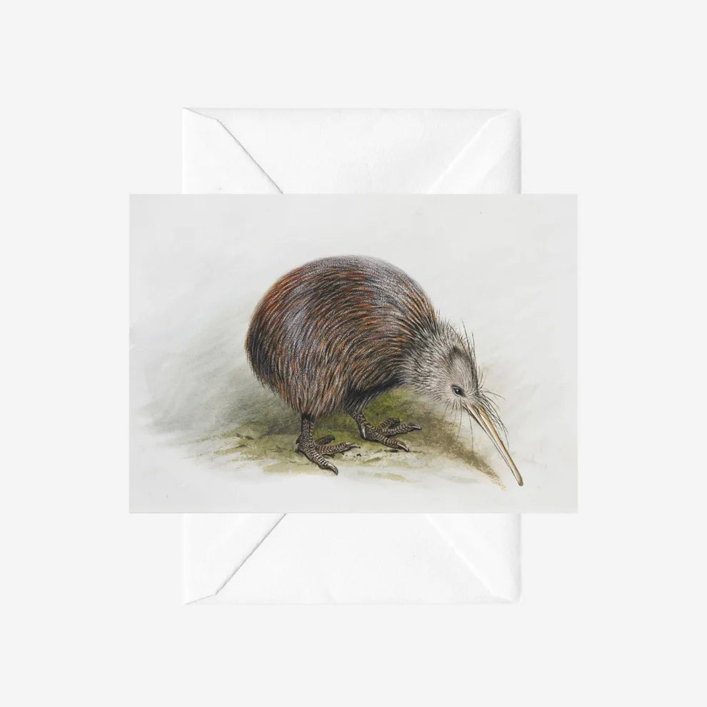 George Lodge - Card - Kiwi-Te Papa Store-Matakana Pharmacy