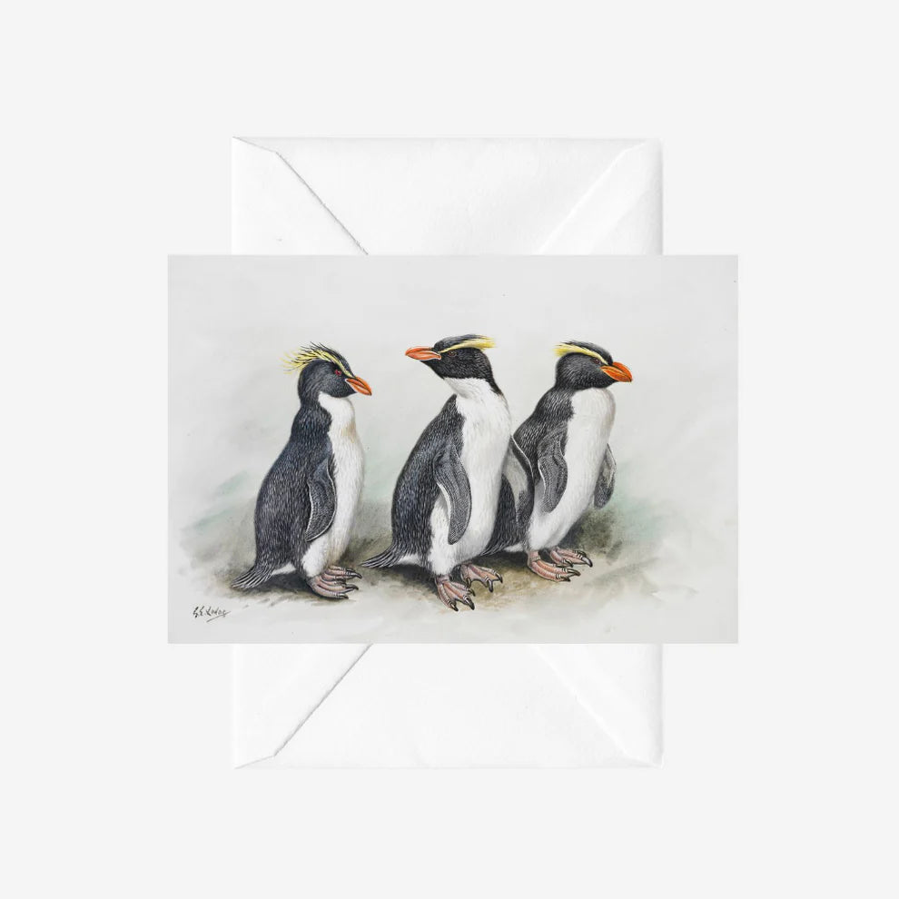 George Lodge - Card - Penguin-Te Papa Store-Matakana Pharmacy